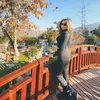 Bea Benavides - @paaz.benavides - TikTok