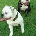 Beatrice Boone - Facebook