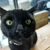 beau.burton_ - @beau.burton_ - TikTok