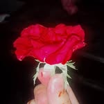 Bea Butt..🌺❤️ - @abdullahbutt5924 - Instagram