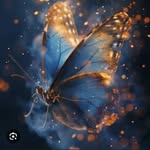 Yuva...💙✨ - @__bea__butterfly____ - Instagram