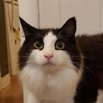 Bea | Canada - @artbybea7 - Instagram
