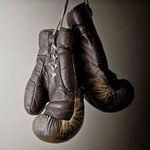 Dee - @beaglovernotafighter - Instagram