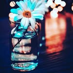 The BeaLine_Collection - @bealine_wear - Instagram