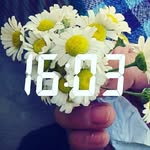 Tuğçe - @bea_miley - Instagram