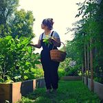 Bee Vang-Moua - @hmongtrends - Instagram