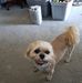 Bea Watts - Facebook