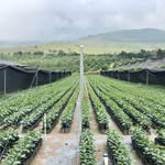 CoffeeBeanCorral.com - @coffeebeancorral - Instagram