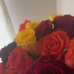 Bear Barnes - Facebook
