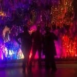 Bear Lee - @bearlee23 - Instagram
