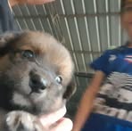 Bear Lee - Facebook