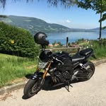 Bear Lee - @bear_lee_82 - Instagram