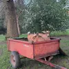 BearLee Making It - @bearlee.making.it - TikTok
