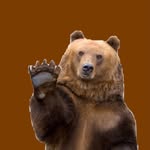 bearlee/lee/charlie - @b3arlee - Instagram