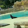 . - @bear.roberts7 - TikTok