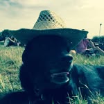Bear Roberts - @nathanthegardener - Instagram