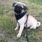 Bear Roberts - @bear.roberts - Instagram