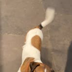 Bear Roberts - Facebook