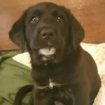 Bear Roberts - @bearby1337 - Instagram