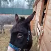 beataaugustynek3 - @beataaugustynek3 - TikTok