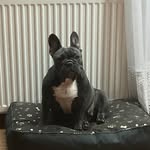 Beata Kożuch - @kozuch_beata - Instagram