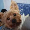 beatalech67 - @beatalech67 - TikTok