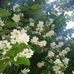 Beata Lechowicz - Facebook