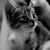 Beata Lorenc - Facebook