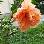 Beata Madej - @michaled3_723_l - Instagram