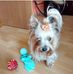 Beata Markowska - Facebook