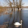 Beata Markowska - @beatamarkowska4 - TikTok