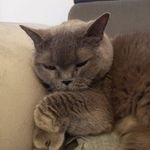 Beata Matejko - @beata.matejko.5 - Instagram