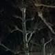 Beata Matejko - @beatamatejko - TikTok