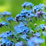 Beata Goraj Paul - @beatamaria42024 - Instagram