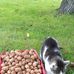 Beata Pudelko Pudelko - Facebook
