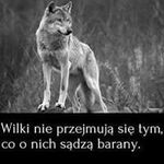 Beata Szpuk - @szpukbeata - Instagram