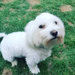 Beata Radecka-Elshabrawi - @radeckaelshabrawi - Instagram
