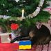 Beata Rasmussen - Facebook