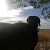 Beata Sikora - @beciasikora - TikTok
