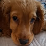 Beata Sroka - @beacik373 - Instagram