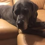 Beata Stefanska - @beatastefanska2609 - Instagram