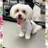 beatastefanska76 - @beatastefanska76 - TikTok