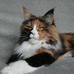Beata Suszek - @beata.suszek.3 - Instagram