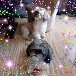 Beata Walczak - @beata.walczak.3954 - Instagram