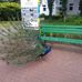 Beata Witkowska - Facebook