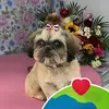 Beata Wrobel - @beata.wrobel3 - TikTok