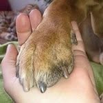 Beate Becker - @beatebecker - Instagram