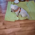 Beate Becker - @alf1.960 - Instagram