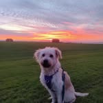 Beate Becker - @beate.becker.82 - Instagram