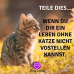 Beate Becker - Facebook